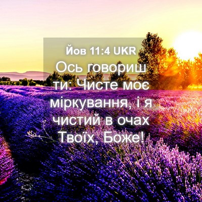 Picture 04 - Йов 11:4 UKR - Ось говориш ти: Чисте моє - Bible Verse Picture