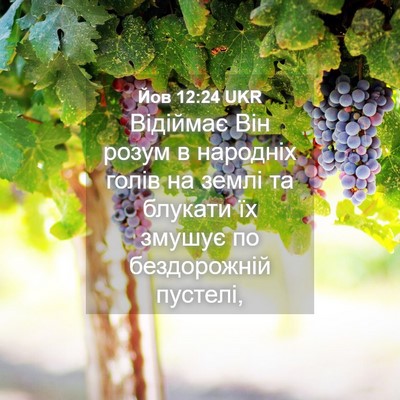 Picture 04 - Йов 12:24 UKR - Відіймає Він розум в - Bible Verse Picture