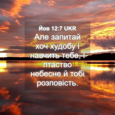 Picture 04 - Йов 12:7 UKR - Але запитай хоч худобу і - Bible Verse Picture