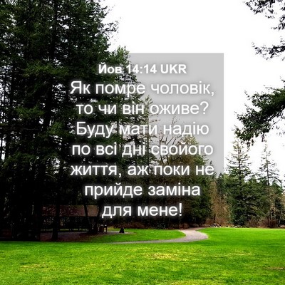 Picture 04 - Йов 14:14 UKR - Як помре чоловік, то чи він - Bible Verse Picture