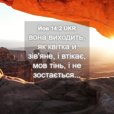 Picture 04 - Йов 14:2 UKR - вона виходить, як квітка й - Bible Verse Picture