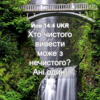 Picture 04 - Йов 14:4 UKR - Хто чистого вивести може з - Bible Verse Picture