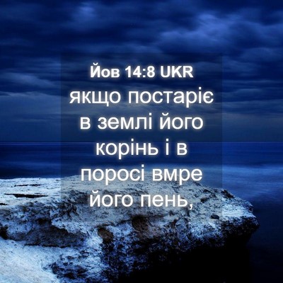 Picture 04 - Йов 14:8 UKR - якщо постаріє в землі його - Bible Verse Picture