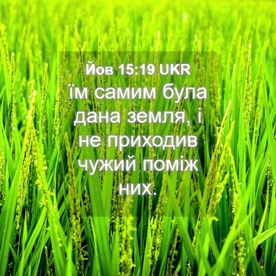 Picture 04 - Йов 15:19 UKR - їм самим була дана земля, і - Bible Verse Picture