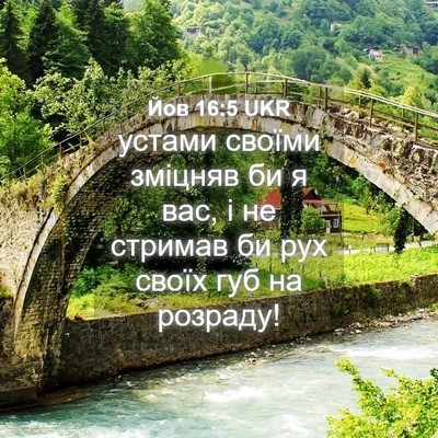 Picture 04 - Йов 16:5 UKR - устами своїми зміцняв би я - Bible Verse Picture