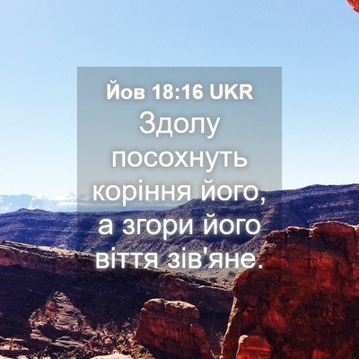 Picture 04 - Йов 18:16 UKR - Здолу посохнуть коріння - Bible Verse Picture