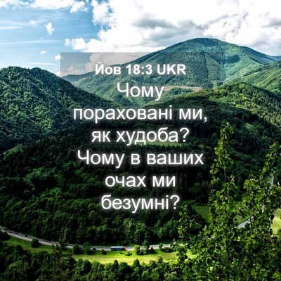 Picture 04 - Йов 18:3 UKR - Чому пораховані ми, як - Bible Verse Picture