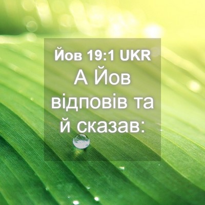 Picture 04 - Йов 19:1 UKR - А Йов відповів та й - Bible Verse Picture