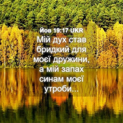 Picture 04 - Йов 19:17 UKR - Мій дух став бридкий для - Bible Verse Picture