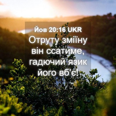 Picture 04 - Йов 20:16 UKR - Отруту зміїну він ссатиме, - Bible Verse Picture
