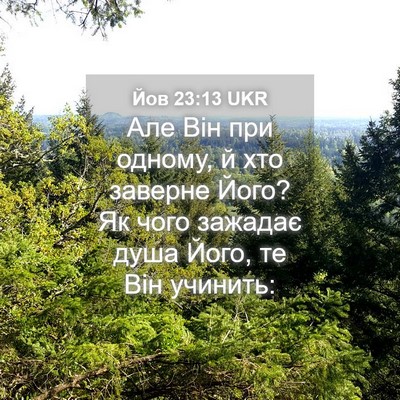 Picture 04 - Йов 23:13 UKR - Але Він при одному, й хто - Bible Verse Picture