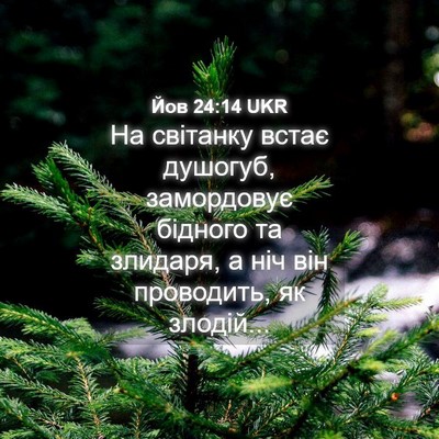 Picture 04 - Йов 24:14 UKR - На світанку встає душогуб, - Bible Verse Picture