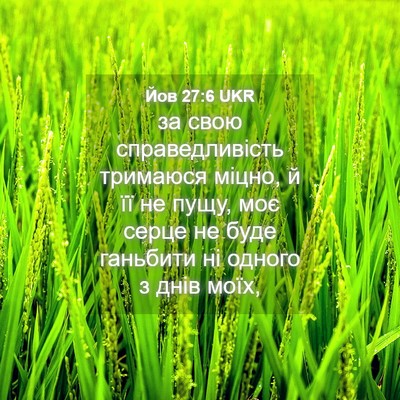 Picture 04 - Йов 27:6 UKR - за свою справедливість - Bible Verse Picture