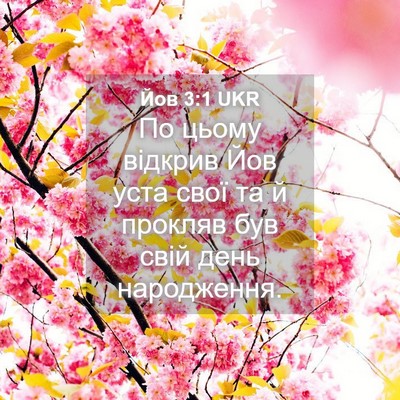 Picture 04 - Йов 3:1 UKR - По цьому відкрив Йов уста - Bible Verse Picture