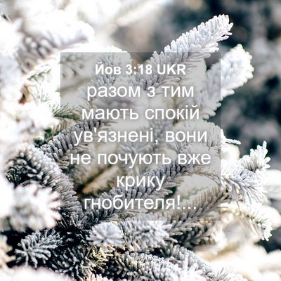 Picture 04 - Йов 3:18 UKR - разом з тим мають спокій - Bible Verse Picture