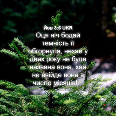 Picture 04 - Йов 3:6 UKR - Оця ніч бодай темність її - Bible Verse Picture