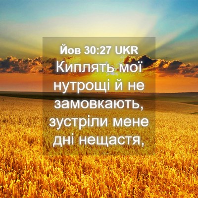Picture 04 - Йов 30:27 UKR - Киплять мої нутрощі й не - Bible Verse Picture