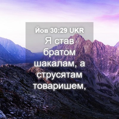 Picture 04 - Йов 30:29 UKR - Я став братом шакалам, а - Bible Verse Picture