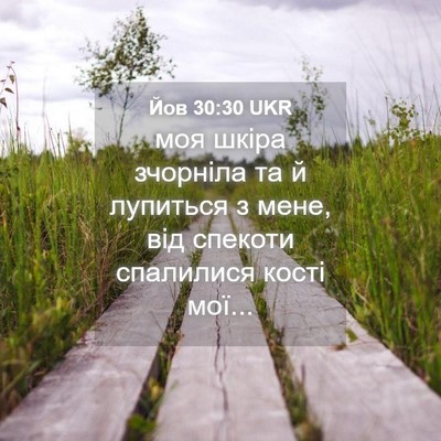 Picture 04 - Йов 30:30 UKR - моя шкіра зчорніла та й - Bible Verse Picture