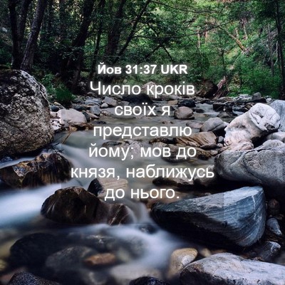 Picture 04 - Йов 31:37 UKR - Число кроків своїх я - Bible Verse Picture