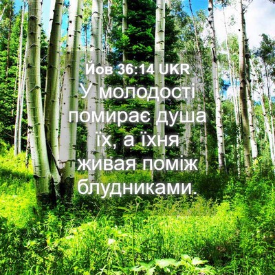 Picture 04 - Йов 36:14 UKR - У молодості помирає душа - Bible Verse Picture