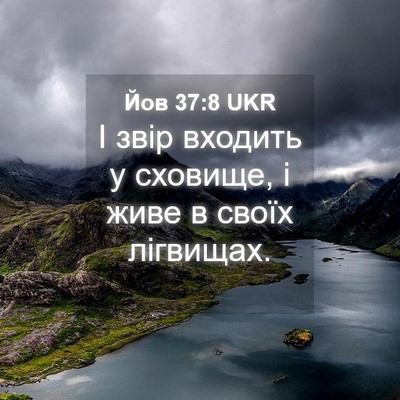 Picture 04 - Йов 37:8 UKR - І звір входить у сховище, і - Bible Verse Picture