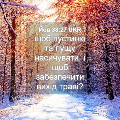 Picture 04 - Йов 38:27 UKR - щоб пустиню та пущу - Bible Verse Picture