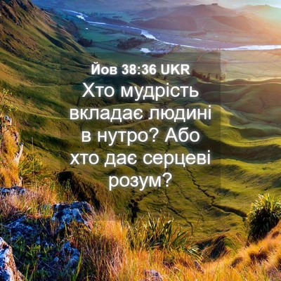 Picture 04 - Йов 38:36 UKR - Хто мудрість вкладає - Bible Verse Picture