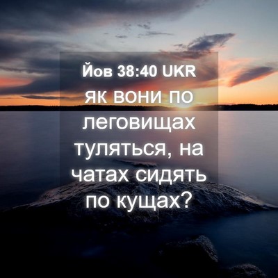 Picture 04 - Йов 38:40 UKR - як вони по леговищах - Bible Verse Picture