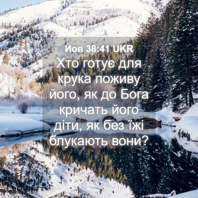 Picture 04 - Йов 38:41 UKR - Хто готує для крука поживу - Bible Verse Picture