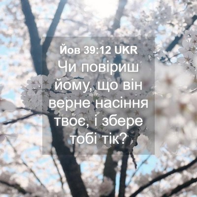 Picture 04 - Йов 39:12 UKR - Чи повіриш йому, що він - Bible Verse Picture
