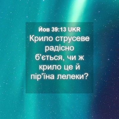 Picture 04 - Йов 39:13 UKR - Крило струсеве радісно - Bible Verse Picture