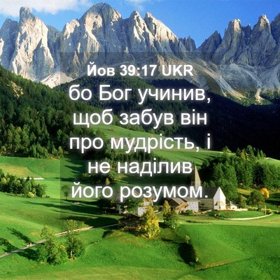 Picture 04 - Йов 39:17 UKR - бо Бог учинив, щоб забув - Bible Verse Picture