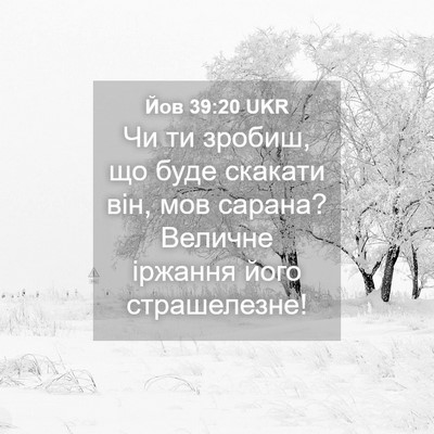 Picture 04 - Йов 39:20 UKR - Чи ти зробиш, що буде - Bible Verse Picture