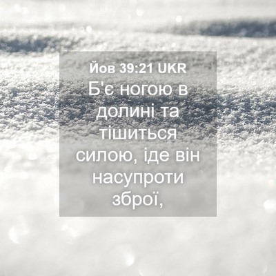 Picture 04 - Йов 39:21 UKR - Б'є ногою в долині та - Bible Verse Picture