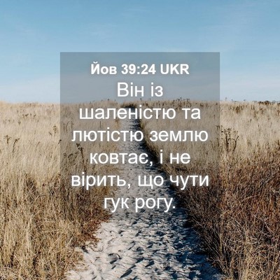 Picture 04 - Йов 39:24 UKR - Він із шаленістю та - Bible Verse Picture