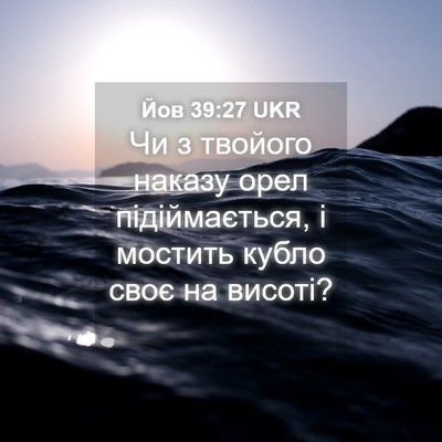 Picture 04 - Йов 39:27 UKR - Чи з твойого наказу орел - Bible Verse Picture