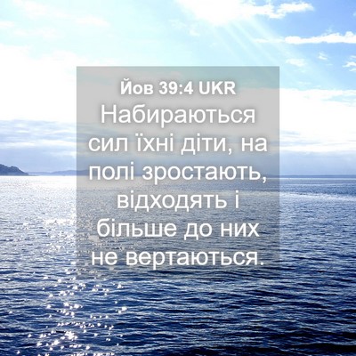 Picture 04 - Йов 39:4 UKR - Набираються сил їхні діти, - Bible Verse Picture
