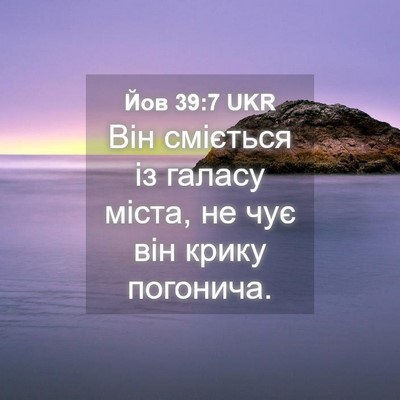 Picture 04 - Йов 39:7 UKR - Він сміється із галасу - Bible Verse Picture