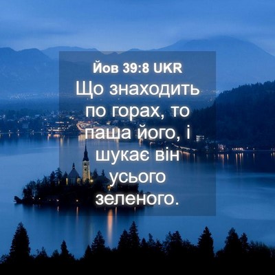 Picture 04 - Йов 39:8 UKR - Що знаходить по горах, то - Bible Verse Picture