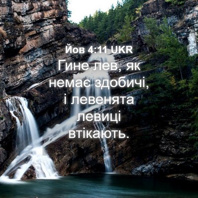 Picture 04 - Йов 4:11 UKR - Гине лев, як немає здобичі, - Bible Verse Picture