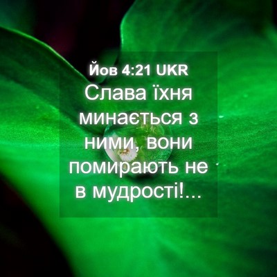 Picture 04 - Йов 4:21 UKR - Слава їхня минається з - Bible Verse Picture