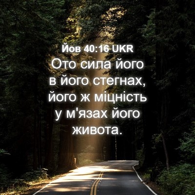Picture 04 - Йов 40:16 UKR - Ото сила його в його - Bible Verse Picture