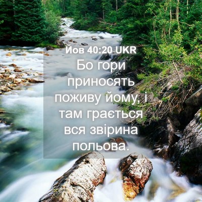 Picture 04 - Йов 40:20 UKR - Бо гори приносять поживу - Bible Verse Picture