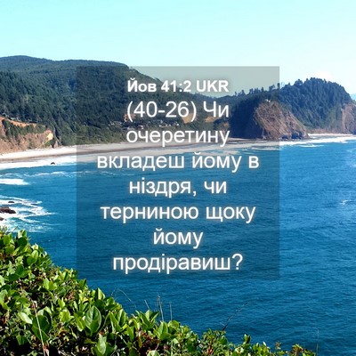 Picture 04 - Йов 41:2 UKR - (40-26) Чи очеретину вкладеш - Bible Verse Picture
