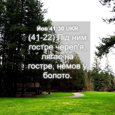 Picture 04 - Йов 41:30 UKR - (41-22) Під ним гостре череп'я, - Bible Verse Picture