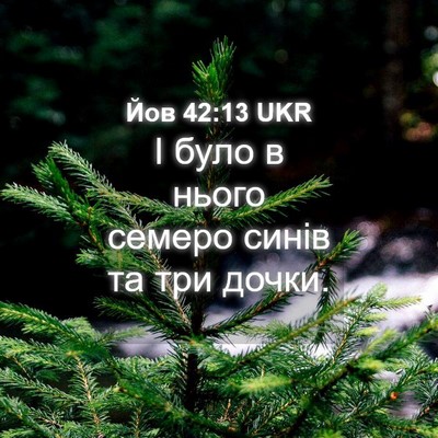 Picture 04 - Йов 42:13 UKR - І було в нього семеро синів - Bible Verse Picture