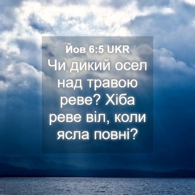 Picture 04 - Йов 6:5 UKR - Чи дикий осел над травою - Bible Verse Picture
