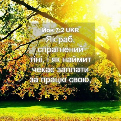 Picture 04 - Йов 7:2 UKR - Як раб, спрагнений тіні, і - Bible Verse Picture