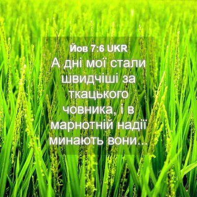 Picture 04 - Йов 7:6 UKR - А дні мої стали швидчіші за - Bible Verse Picture